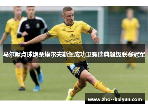 马尔默点球绝杀埃尔夫斯堡成功卫冕瑞典超级联赛冠军 马尔默点球绝杀埃尔夫斯堡成功卫冕瑞典超级联赛冠军